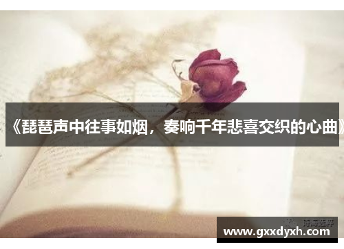 《琵琶声中往事如烟，奏响千年悲喜交织的心曲》